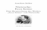 Nietzsche: Ecce homo - Homepage von Joachim Stillerjoachimstiller.de/download/philosophie_nietzsche_ecce_homo.pdf · Nietzsche: Ecce homo In diesem Thread soll das Werk "Ecce Homo"