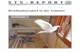 Brieftaubensport in der Schweiz - Schweizer Tierschutz · PDF fileSI IS SS BIBS I SI 3 Einleitung In der Schweiz waren 2015 beim Schweizerischen Brieftaubensport-Verband SBV 137 aktive