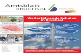 Amtsblatt -  · PDF file2 | AMTSBLATT BRUCHSAL · 2. März 2017 · Nr. 09 Kostenfreie Einlasskarten im Bürgerbüro und in den Verwaltungsstellen erhältlich