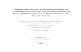 Molekulare und entwicklungsbiologische  · PDF file1.3.3.2 Sesquiterpenlactone der Sonnenblume H. annuus und des Kultivars HA300.....20 1.4 Glanduläre Trichome