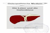 Osteopathische Medizin Die Leber und die Gallenblaseosteopedia.iao.be/uploads/lever_de_demo.pdf · Mail: info@osteopathie.eu Web: und Tel: +32 9 233 04 03 - Fax: +32 55 70 00 74 ISBN: