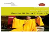 Detail Shaolin Qi Gong 2012-2014 - · PDF fileShaolin Qi Gong wird als das innere Kung-Fu bezeichnet, ... Ba Duan Jin hat eine Geschichte von mehr als 800 ... traditionelle Form des