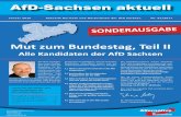 AfD-Sachsen  · PDF fileDa diese Partei ihre konservativen Positionen, für die sie Jahrzehnte stand, ... Die Verhinderung eines Multi-Kulti-Staates ist elementar für den Erhalt