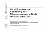 Vorstellungen zur Abbildung des Pflegeprozesses mittels ... · PDF fileNANDA, NOC, NIC Alexandra Bernhart ... • Die Inhalte sind überall nach den Domänen und Kategorien der NNN-Taxonomie