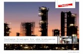 Sichere Energie für die Industrie - dehn.de · PDF fileIEC TR 61641* • Regelt die Bedingungen zur Überprüfung der Störlichtbogenfestigkeit von Nieder-spannungs-Schaltanlagen