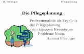 Professionalität als Ergebnis der Pflegeplanung Probleme ... · PDF fileH. Vöhringer Pflegeplanung Die Pflegeplanung Professionalität als Ergebnis der Pflegeplanung - mit knappen
