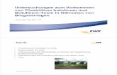 Untersuchungen zum Vorkommen von Clostridium · PDF fileEWE Biogas GmbH & Co. KG Dipl.-Ing. Manuela Beyer Überblick zur Funktionsweise und Technik von Biogasanlagen EWE Titel der