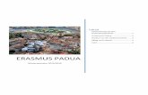 ERASMUS PADUA - uni- · PDF fileS e i t e | 1 Vorbereitung auf den Auslandsaufenthalt Nachdem die Zusage für einen Platz in Padua für das Wintersemester 2015/2016 im Februar 2015