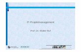 IT- Projektmanagement a · PDF fileAlbstadt-FH Sigmaringen 2 1. Überblick und Grundlagen 1.1 IT-Projekte 1.1.1 Probleme bei IT-Projekten 1.1.2 Risiken bei IT-Projekten 1.1.3 Einteilung