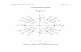 Algebra - homepages.uni-regensburg.dehomepages.uni-regensburg.de/~nan25776/algebra_skriptws_1112.pdf · 0. Lineare Algebra In diesem Einfuhrungskapitel sollen nochmals die wichtigsten