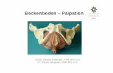 Beckenboden – Palpation - Ordensklinikum Linz · PDF filenach modifiziertem Oxford-grading (KG 0-5)