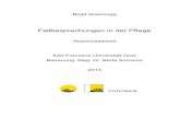 Fallbesprechungen in der Pflege - · PDF fileBirgit Grasmugg Fallbesprechungen in der Pflege Abschlussarbeit Karl-Franzens-Universität Graz Betreuung: Mag. Dr. Berta Schrems 2013