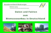 Daten und Fakten zum Biomasseanbau in Deutschland · PDF fileBundesverband BioEnergie Der Vorstand 9 Persönlichkeiten aus den Teilsektoren der Bioenergiebranche bestimmen die strategische