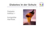 Diabetes mellitus = honigsüßer Harnfluss · PDF fileDiabetes in der Schule Diabetes mellitus Typ I immunvermittelt juvenil Diabetes mellitus Typ II mit/ohne Übergewicht Diabetes