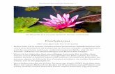 Die Wasserlilie ist in Sri Lanka Symbol für Reinheit und ... · PDF fileReisebericht Ayurveda in Sri Lanka Seite 3 UTMT ist die Abkürzung für ein Boutique-Hotel mit dem Namen „Underneath