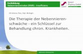 Christiane Pies, Dipl. Biologin Die Therapie der ... · PDF fileNebennierenrinde: Cortisol, Aldosteron, DHEA und Sexualhormone Nebennierenmark: Adrenalin, Noradrenalin . Referentin: