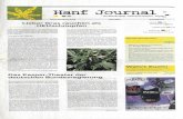 hajoMai02 -   · PDF fileHanf Journal newes Bündnis 90/Die Grünen kommentar Drogenfrei ist Heuchelei Ok, wir Sind ja schon viel gewöhnt von der rot- grünen Regierung