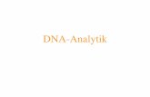 DNA-Analytik - cpi.uni- · PDF file2. Vorlesungsstunde:" Biochemie und Nachweis von DNA! Wie untersucht man DNA ?!! 5´ 2´ O OH N HN O O P O OH O HO P O P OH O OH O N N H2N Guanin!
