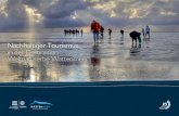 Nachhaltiger Tourismus in der Destination Weltnaturerbe ... · PDF file4 nachhaltiger tourismus in der destination Weltnaturerbe Wattenmeer natursCHutZ und tOurIsmus Im Wattenmeer