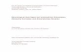 Neurological Soft Signs bei schizophren Erkrankten ...ediss.sub.uni-hamburg.de/volltexte/2005/2314/pdf/Dissertation... · Tabelle 5 : Faktorenanalyse der PANSS.....42 Tabelle 6 :