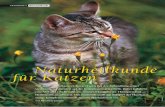 Naturheilkunde für Katzen - natuerlich- · PDF file3–4 Stunden 1–3 Globuli Arnica D12 oder C30 gegeben. Am 2. und 3. Tag noch 2–3-mal täg-lich. Tierärzte geben oft einma
