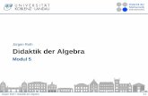 Jürgen Roth Didaktik der Algebra - Universität · PDF fileJürgen Roth • Didaktik der Algebra. 4.6. Gleichungen als Werkzeuge und Objekte. Gleichungen als Werkzeuge. zum Formulieren