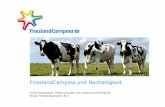 FrieslandCampina und Nachaltigkeit - media.repro-mayr.demedia.repro-mayr.de/16/567716.pdf · Napolact. Ca odinioara Unique conditions make unique cheeses Γάλατα υπ άρχουνπολλ