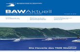 BA Aktuell - IZW · PDF fileBA Aktuell Das Info-Magazin der Bundesanstalt für Wasserbau Ausgabe 01 /2013. Inhalt Editorial 3 Notizen 4 ... Themen waren u. a. die Abstimmungen mit