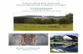 Schönbrunn - schoenbrunn-im- · PDF file3 1. Einkommen sichern und im Grünen wohnen Als größter Ortsteil der Stadt Wunsiedel besitzt Schönbrunn einen Flächen- nutzungsplan mit