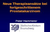 Neue Therapieansätze bei fortgeschrittenem · PDF fileBPH Transition Zone Peripheral Zone margin capsule Posterior resection or preservation of NVB? PCa Nerv Prostatakapsel Periprostatisches