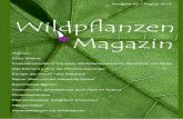 Themen: Süße Wildnis ... - Essbare · PDF fileSüße Pflanzen Eine ganze Reihe von Pflanzen hat der Mensch entdeckt, ... Essbare-Wildpflanzen.de Die fein süßlich schmeckenden Wurzeln