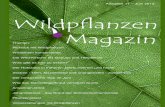 Ausgabe 17 – Juni 2012 - wild- · PDF fileWildblüten konservieren Viele heimischen Pflanzen haben im Sommer essbare Blüten. Hier erklärt uns Rita Lüder wie wir diese hübsche