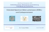 Extended-Spectrum Beta-Lactamasen (ESBL) und Carbapenemasen · PDF fileExtended-Spectrum Beta-Lactamasen (ESBL) und Carbapenemasen ... Molekulare Epidemiologie Makrorestriktionsanalyse