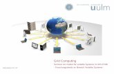Grid Computing - Distributed Systems (Uni Ulm) · PDF fileVermietung von (speziellen) ... -> leichtere Verknüpfung mit der Anwendung Fabric Connectivity Resource Collective ... (CRM,