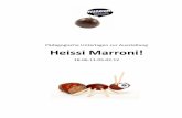 Pädagogische Unterlagen zur Ausstellung Heissi Marroni! · PDF fileVorzeitiger Blattfall, Schwächung der Bäume, ... gute Versorgung mit Nährstoffen und Wasser stärkt die Resistenz