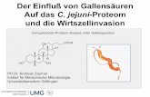Der Einfluß von Gallensäuren Auf das C. jejuni-Proteom und ... · PDF fileTrypsin digest in solution Sample ... 2 h intrazellulär vs 20 h intrazellulär (COS-1-Zellen) ... (ROS)