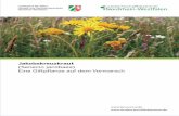 Informationsbroschüre zum Jakobskreuzkraut - · PDF fileM in s t er um für K lma ch z, U w t, Landwirtschaft, Natur- und Verbraucherschutz des Landes Nordrhein-Westfalen. Inhalt