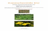 KaninchenInfo EU · PDF fileGiftpflanzen für Kaninchen Wild- und Gartenpflanzen Diese Pflanzen sind für Kaninchen giftig. Sie sind nach dem deutschen Namen geordnet, der botanische