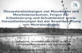 Ökosystemleistungen von Moorböden und · PDF fileGley Anmoorgley 1530 % OBS Moorgley ≥ 30 % OBS ... Düngung, Erträge bei 80-120 dt TM/ha Empfehlungen der Grünlandexperten (Kreil,