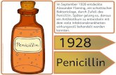 ein Antibiotikum zu entwickeln mit dem viele ... · PDF filePenicillin. Später gelang es, daraus ein Antibiotikum zu entwickeln mit dem viele Infektionskrankheiten wirkungsvoll behandelt
