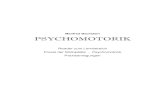 Manfred Bechstein  · PDF fileManfred Bechstein PSYCHOMOTORIK Reader zum Lernbereich Praxis der Motopädie - Psychomotorik Praxisanregungen
