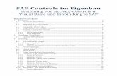 SAP Controls im Eigenbau -  · PDF fileDie Implementierung von SAP-Standard-Controls setzt bereits gute Kenntnisse in der ABAP-Programmierung voraus
