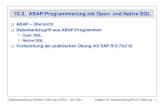 10.3. ABAP-Programmierung Open- und · PDF fileObjektverwaltung höherer Ordnung (OHO) –SS 2001 Kapitel 10: Datenbankzugriff & Pufferung – 2 ABAP/4 -Die Programmiersprache von