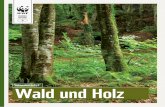 Wald und Holz - WWF Deutschland · PDF file3 Wälder sind die artenreichsten Lebensräume der Welt. Uns sind heute 1,3 Millionen Tier- und Pflanzenarten bekannt, die in Wäldern beheimatet