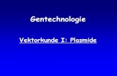 Gentechnologie - Wilkommenmolgen.biologie.uni-mainz.de/F1-Vorbesprechungen/F1_Gentechnologi… · Genregionen für den konjugativen Plasmidtransfer • Tra Gene > ca. 25 Gene, ein