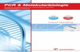 PCR & Molekularbiologie - Sarstedt · PDF fileLiquid Handling PCR & Molekularbiologie Zertifizierte Qualitäts-Produkte für Anwendungen in der PCR, Molekularbiologie & Forschung