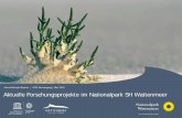 Mastertextformat bearbeiten Zweite Ebene - ufz.de 2016-V2-KKS.pdf · In toto … Monitoring und Forschung im Nationalpark. Klaus Koßmagk -Stephan | Forschung im Nationalpark SH Wattenmeer|