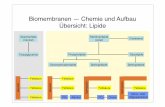 Biomembranen — Chemie und Aufbau Übersicht: Lipideuser.uni-frankfurt.de/~dingerma/Podcast/CytologieWS10_3.pdf · Chemie, Struktur, Funktion der Glycocalyx — Tierzelle Lipid Protein