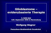 Glioblastome – evidenzbasierte Therapie - IFAHS.org. Dr. Wolfgang... · MGMT - Gen-Promoter-Methylisierungs-Kids kommerziell noch nicht verfügbar Weller persönliche Mitteilung