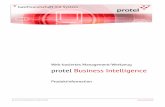 Web-basiertes Management-Werkzeug protel Business Intelligencegastrovision.de/.../09/protel_business_intelligence_produktinfo.pdf · protel Business Intelligence Web-basiertes Management-Werkzeug